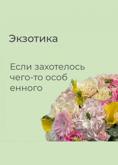 Подписка «Экзотика»